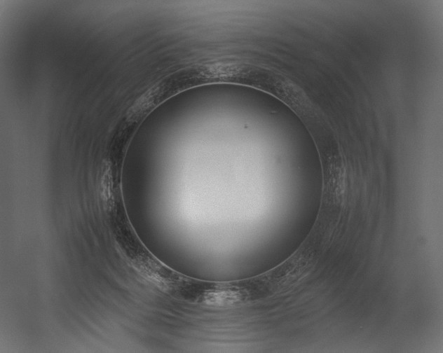 X0000054390220200507291152