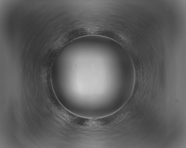 X0000054390221200507291152