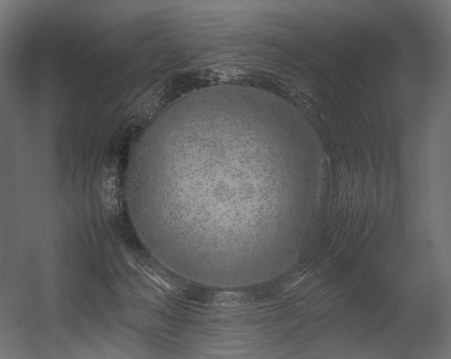 X0000054390222200507291152