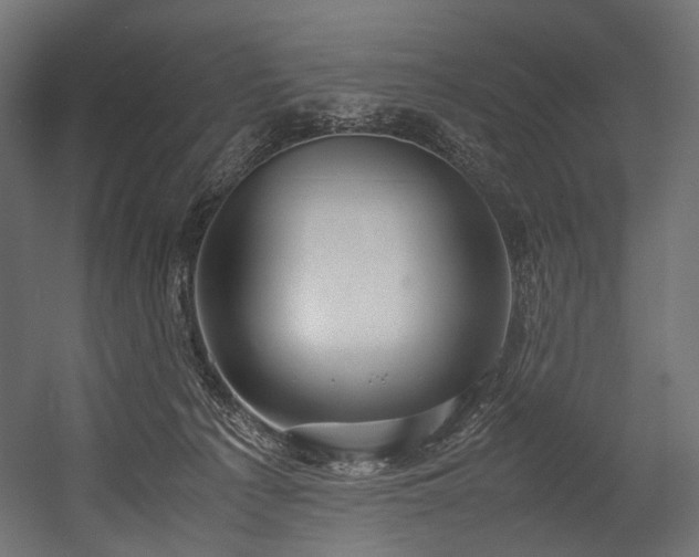 X0000054390225200507291152