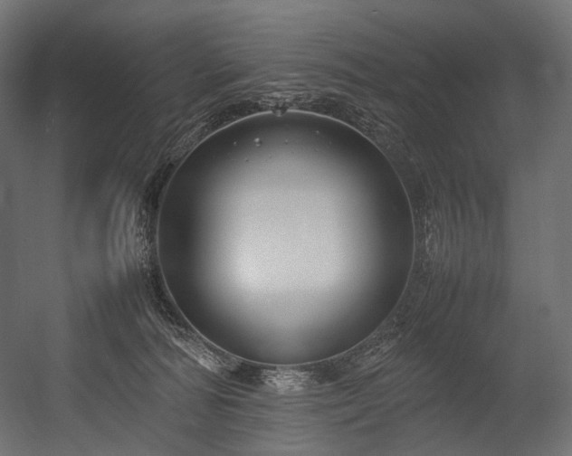 X0000054390226200507291152