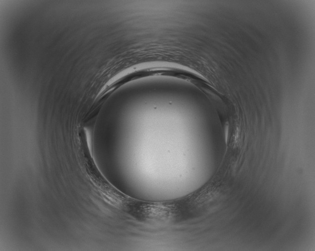 X0000054390229200507291152