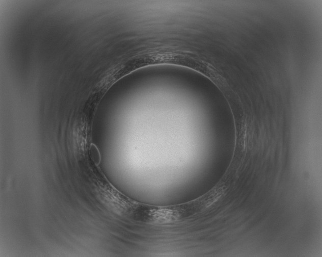 X0000054390230200507291152