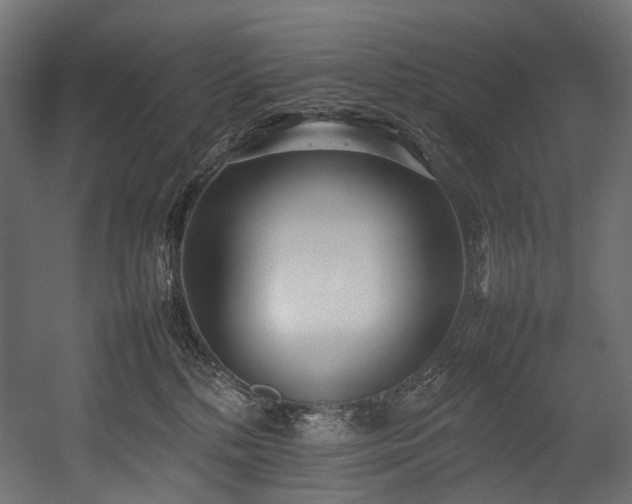 X0000054390232200507291152