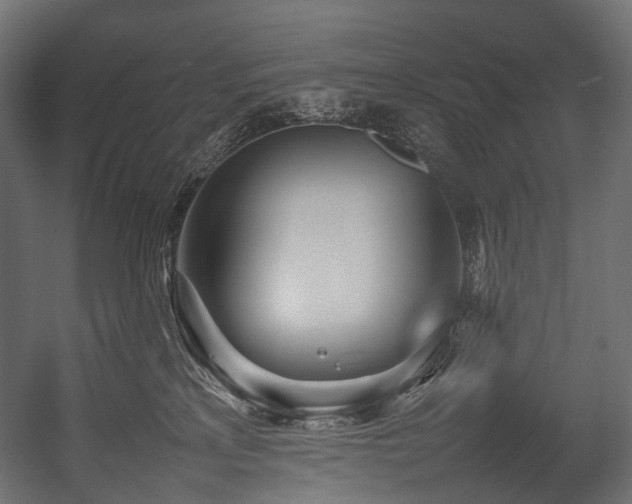 X0000054390233200507291152