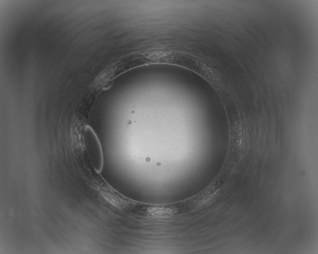 X0000054390234200507291152