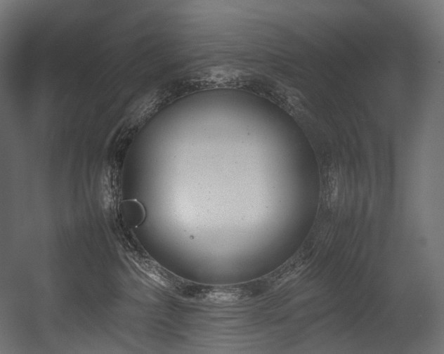 X0000054390236200507291152