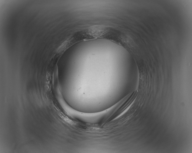 X0000054390237200507291152