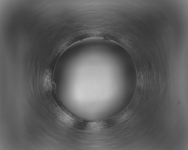 X0000054390238200507291152