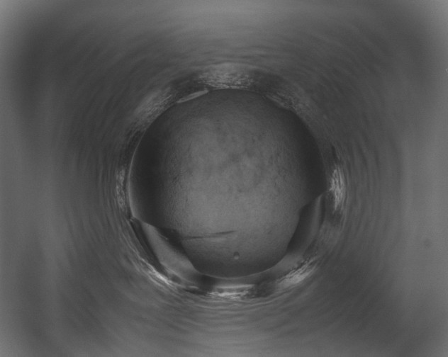 X0000054390239200507291152