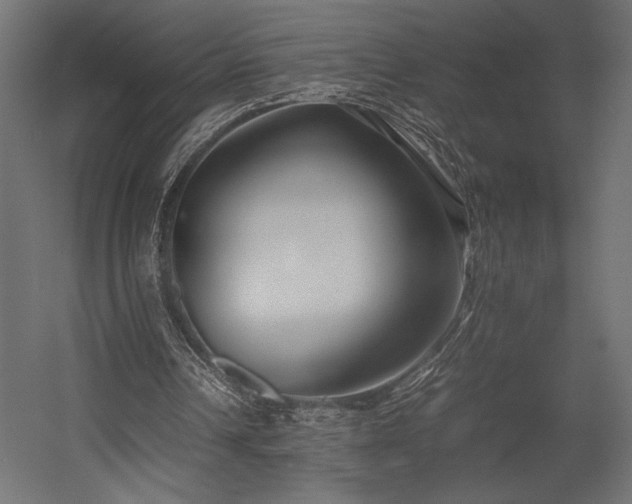 X0000054390242200507291151