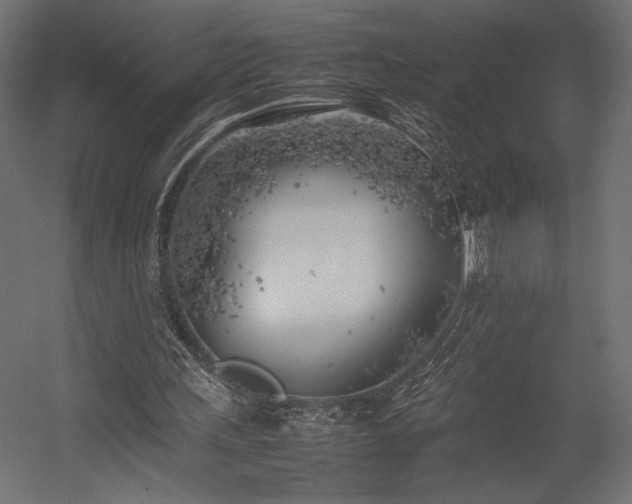 X0000054390243200507291151
