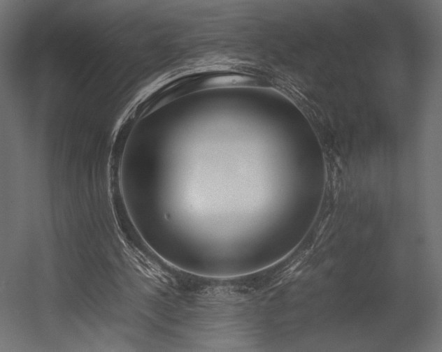 X0000054390244200507291151
