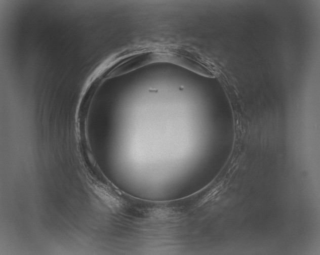 X0000054390246200507291151