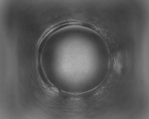 X0000054390247200507291151