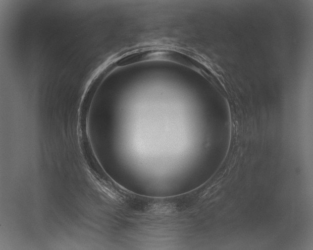 X0000054390248200507291151