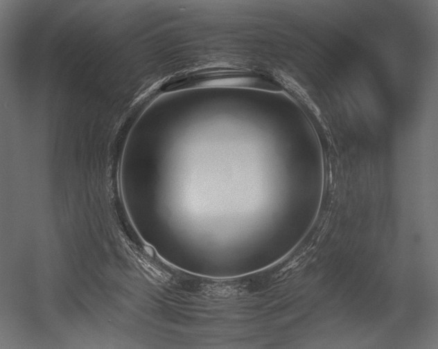 X0000054390249200507291151