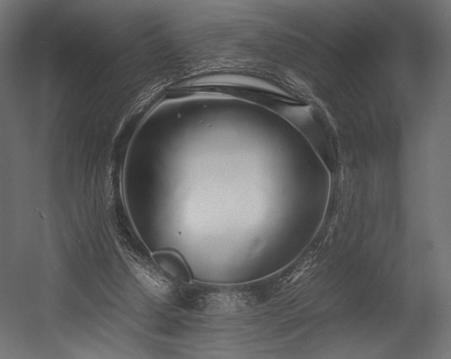 X0000054390250200507291151