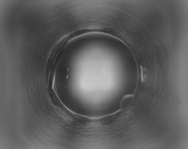 X0000054390252200507291151