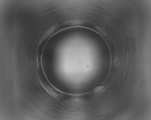 X0000054390254200507291151