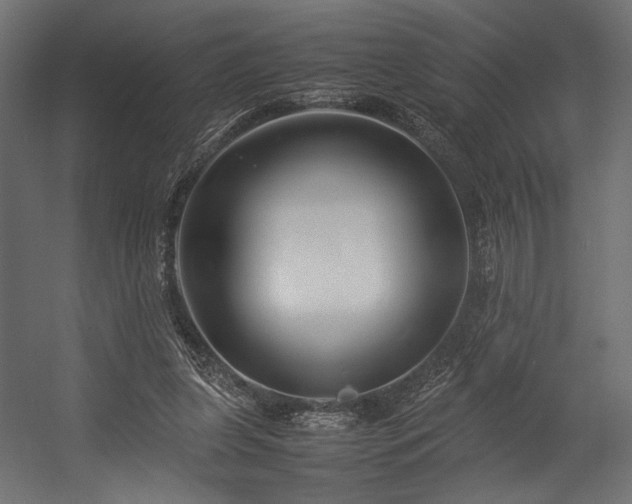 X0000054390255200507291151