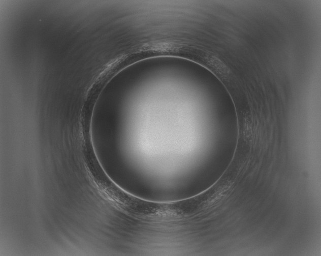 X0000054390256200507291151