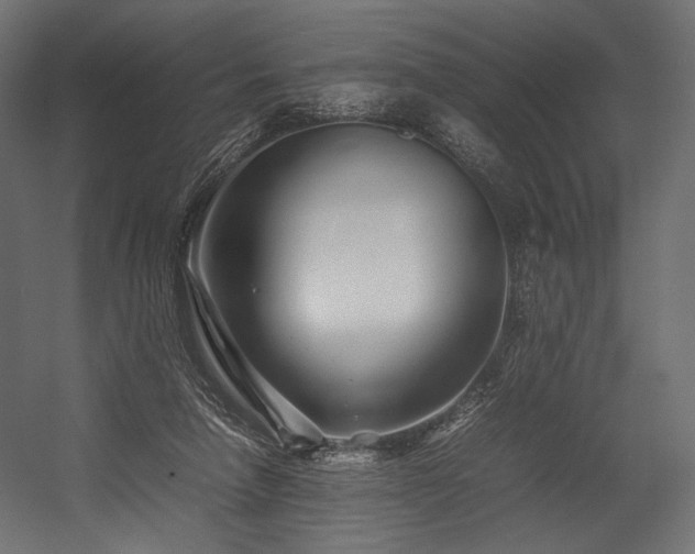 X0000054390258200507291151