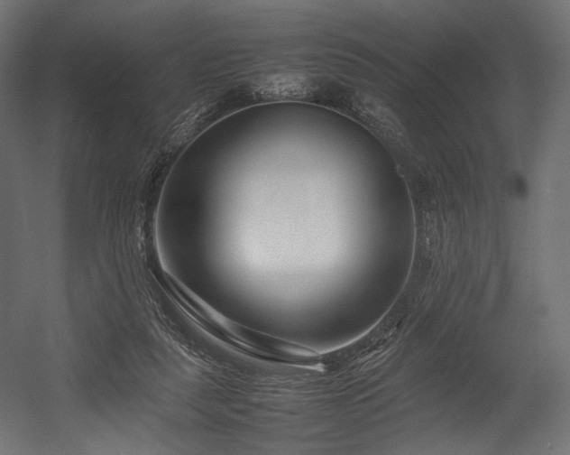 X0000054390259200507291151