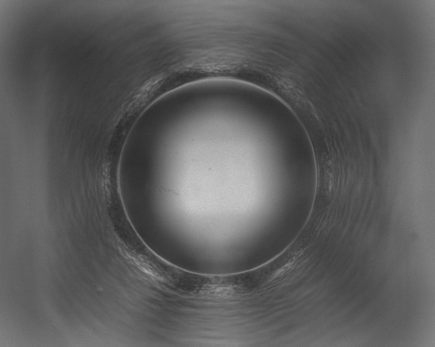 X0000054390260200507291151