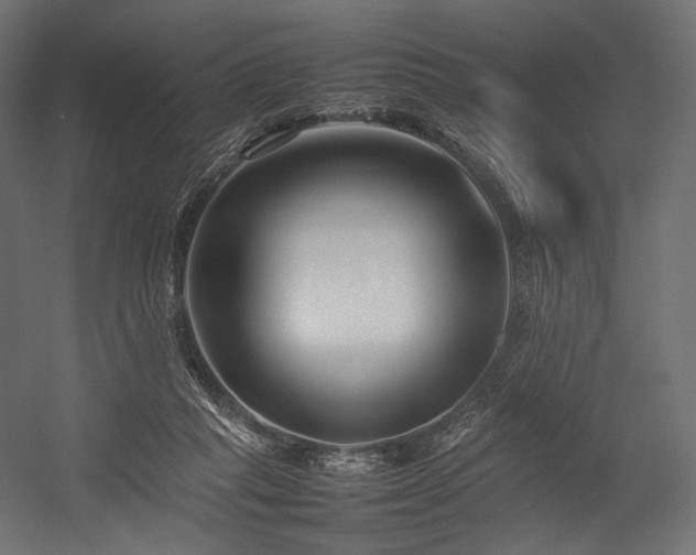 X0000054390261200507291151