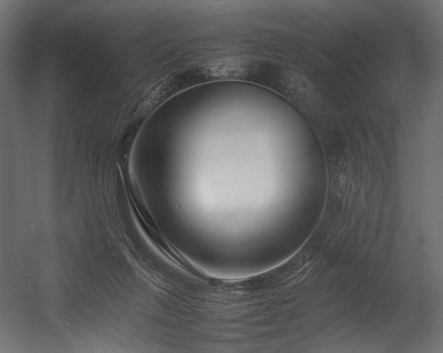 X0000054390263200507291151