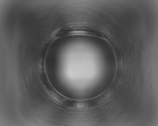 X0000054390264200507291151