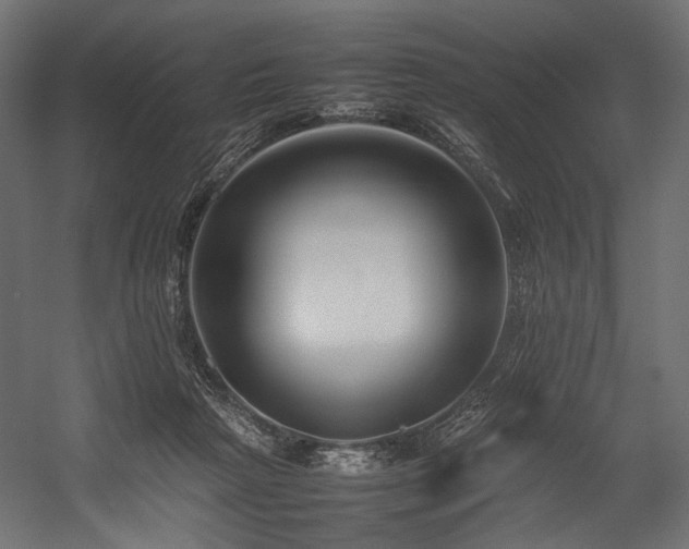 X0000054390265200507291151
