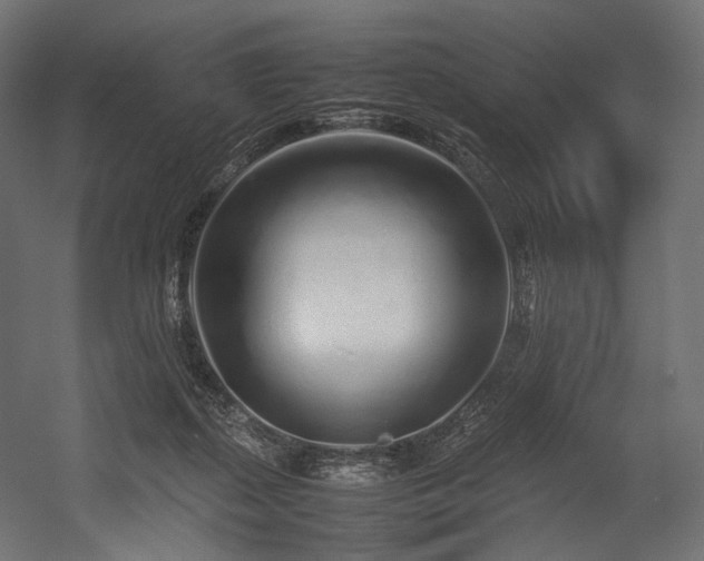 X0000054390267200507291151