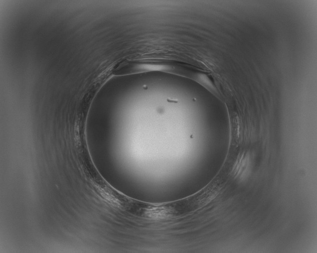 X0000054390269200507291151
