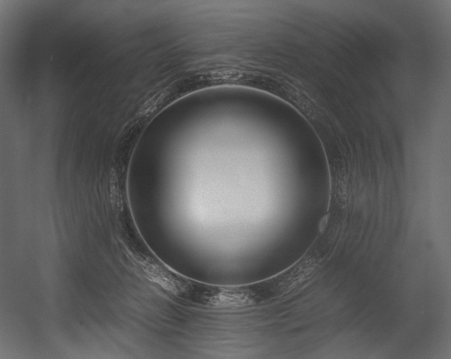 X0000054390270200507291151