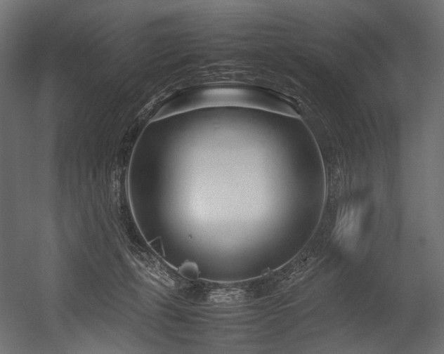 X0000054390271200507291151