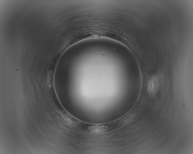 X0000054390273200507291151