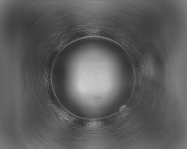X0000054390274200507291151
