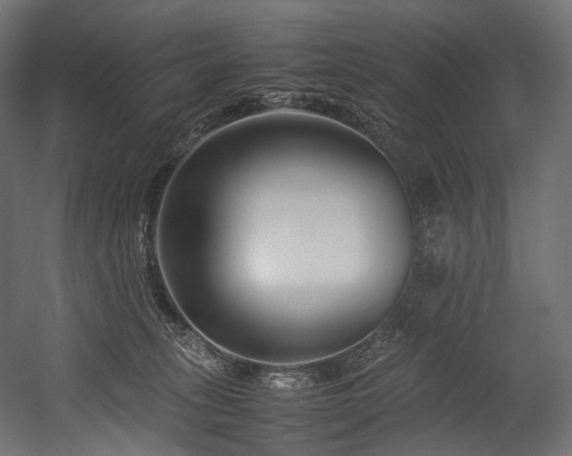 X0000054390275200507291151