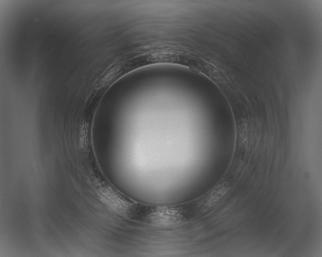 X0000054390278200507291151