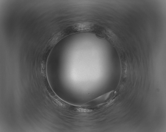 X0000054390281200507291152