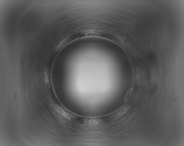 X0000054390282200507291152