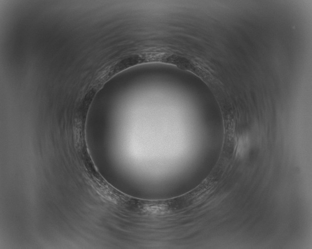 X0000054390283200507291152