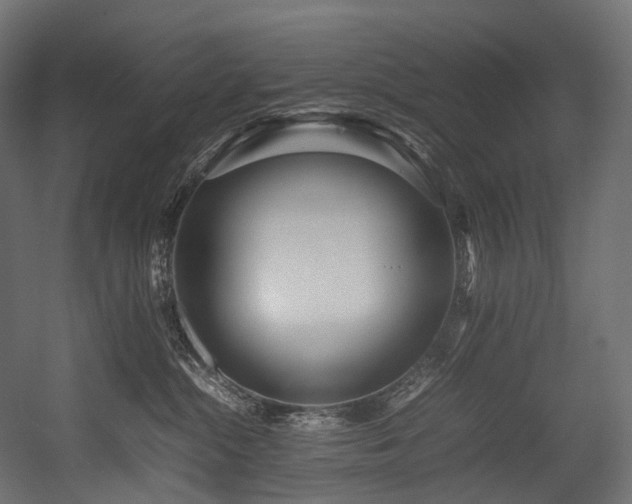 X0000054390284200507291152