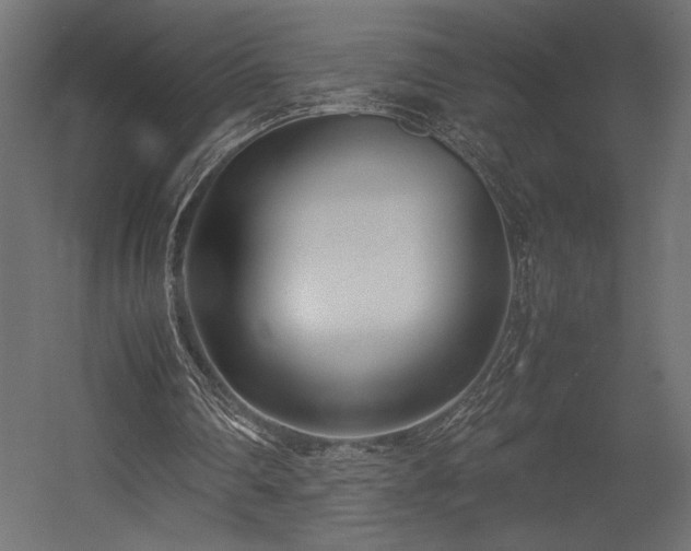 X0000054390290200507291151