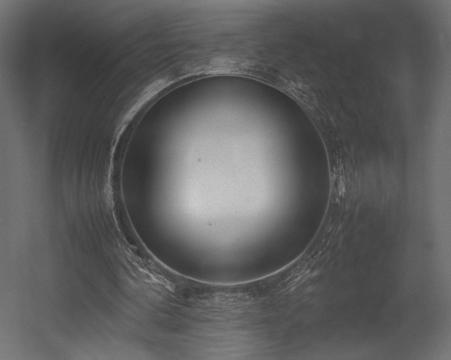 X0000054390292200507291151