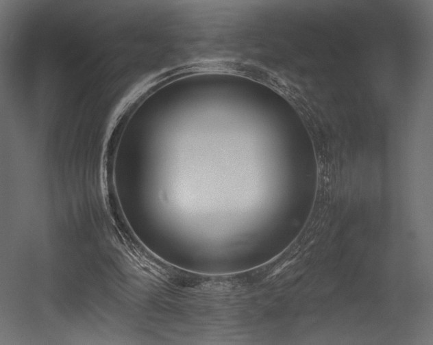 X0000054390294200507291151
