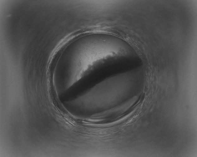 X0000054390295200507291151