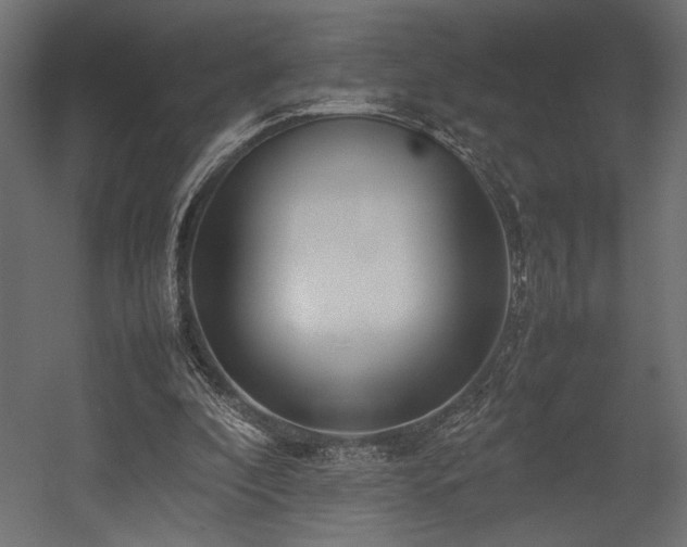 X0000054390296200507291151